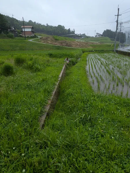 三原市大和町下徳良　土地の画像2