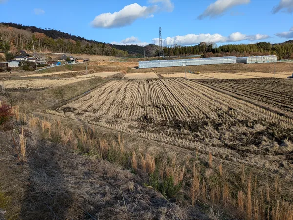 三原市大和町大具 土地の画像